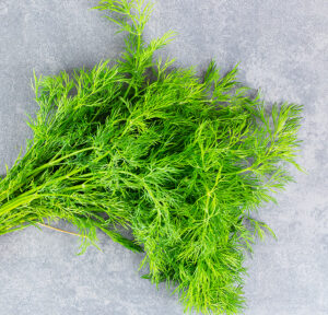 Kaporlevél szárított - 250g