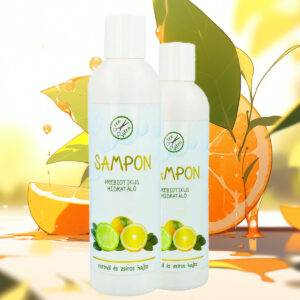 Eco-Salon prebiotikus sampon normál és zsíros hajra