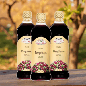 Méhes Mézes Tőzegáfonya szörp - 500ml